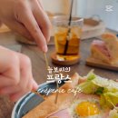 늘보씨의프랑스