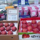 소쿠리농장 이미지