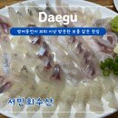 서민횟집 | 대구 범어동 횟집 수성구 횟집 1티어 서민회수산 내돈내산 후기