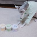 (주) 주베베 | 주베베 노령견 강아지 비건간식 스몰바이트