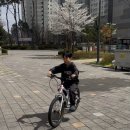 형제자전거 | 🚲 초등 자전거 추천｜삼천리 자전거 5년 실사용 후기 (형제 물려쓰기 가능한 튼튼함)