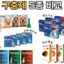 온심약국 네이버블로그