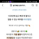 상도가구 투표 이벤트 (~10.10) 이미지