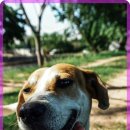 한마음 동물병원 이미지