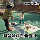 감성톡톡 자연물 놀이 | 병설유치원 학교숲 자연물 숲놀이