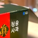 골드사과농원 | 시나노골드 제철이라 신이사과농원에서 주문해본 솔직 후기
