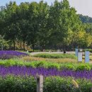 천문공원 이미지