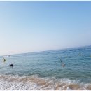 씨랜드펜션 이미지