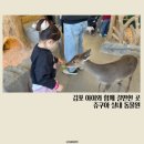 키즈쿠아 | 김포 아이와 갈만한 곳 실내 동물원 카페 쥬쿠아 키즈카페까지 있어요