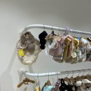 메리펫샵 이미지