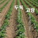 두렁