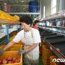 무주 농산물산지유통센터 이미지