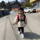 푸른샘농장 이미지