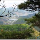 수동공판장 이미지