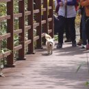 죽도농장 이미지