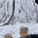 중문레지나김밥