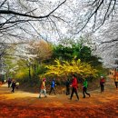 계족산 황톳길 이미지