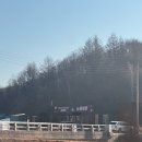 수곡로3번길(2-164) | [대관령] 강원 평창 애견동반 눈썰매장 대관령 눈썰매장 윈터밸리 강아지랑 함께 눈썰매 후기