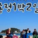 하운드송정 네이버블로그