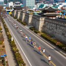 우회도로 | 2026 경기마라톤 교통통제 (수원, 우회도로, 대회정보)