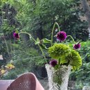 테라스커피숍 이미지