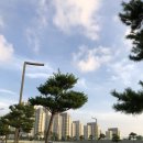 홀썸브레드