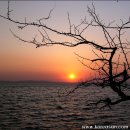 새벽노을2 이미지