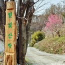 별빛산방 이미지