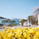 (주)호남해외관광 이미지