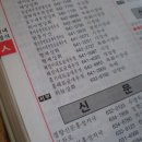 홍기네토굴새우젓 Daum카페
