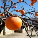 김재훈한의원 이미지