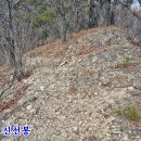 금산산림문화타운 이미지