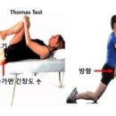 운동백서PT 이미지