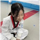 푸른태권도 이미지