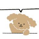 호남정수기