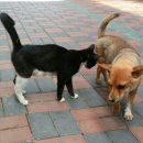 근원목장 이미지