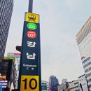 강남살이