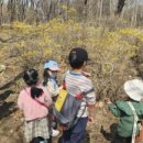 체육공원 가족휴게공원 이미지