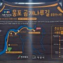 웅포곰개나루 이미지