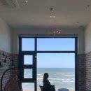 부안 짱아 이미지