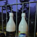 단양농협 대강지점 이미지