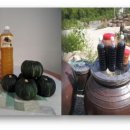 강진4호 이미지