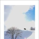 태백산목장 이미지