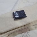 유경시트