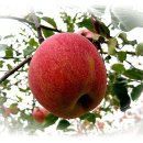 댕겨오겠습니다 이미지