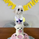 오 마이 리틀베이비 이미지