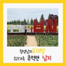 병점1동 간이운동시설 씨름장 | 경남 남지 유채꽃, 창녕 남지 유채밭방문 후기 및 꿀팁 (남지철교, 능가사)