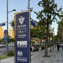 [내돈내산]연극 양떼목장의 대혈투 관람 후기 : 웃기지만 웃고만 있을 수 없는, 이상한 양들의 탈출극