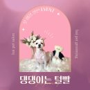 그루밍펫살롱 | 📢 하이 펫 그루밍 | 프리미엄 살롱 &amp; 케어 서비스 ✨🐶