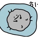 섬맛의공방 제주이야기 이미지